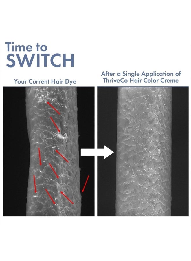 ThriveCo Crème Permanent Hair Color – Natural Black | 100% Grey Coverage | Hyaplex™ Bond-Building Technology | Ammonia-Free, Long-Lasting & Nourishing | For Men & Women | ( 60 ml + 60 ml + 10 ml ) 130 ml - Image 3